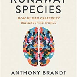 الجنس البشري المبدع: كيف يعيد الإبداع البشري تكوين العالم
