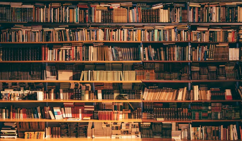 Reader with a book