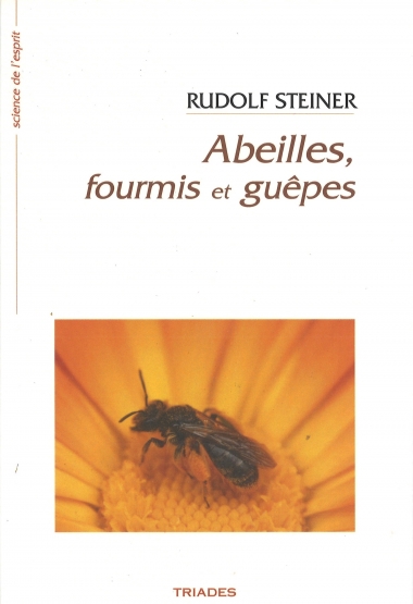 20250729160744_00015-380x555