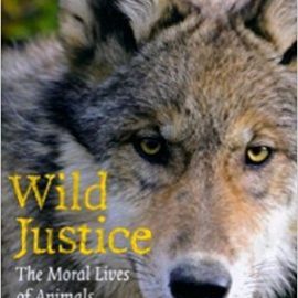 Wild Justice: The Moral Lives of Animals