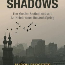 العودة إلى الظلال: الإخوان المسلمون والنهضة منذ الربيع العربي