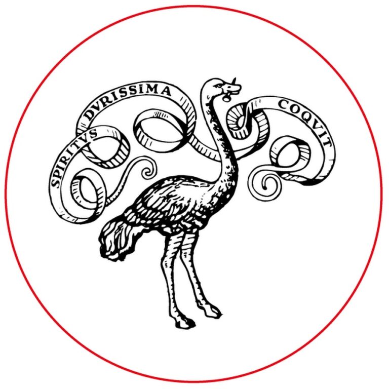 دار إيناودي