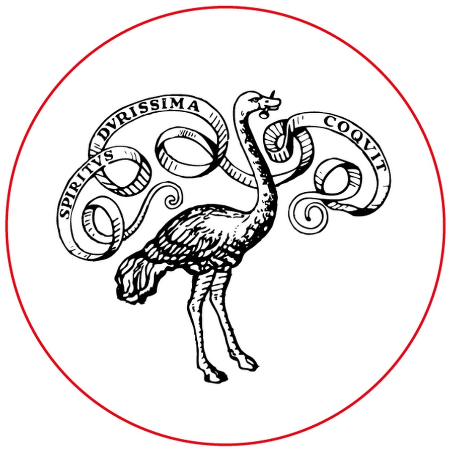 دار إيناودي