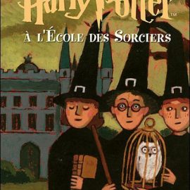 Harry Potter à l'école des sorciers